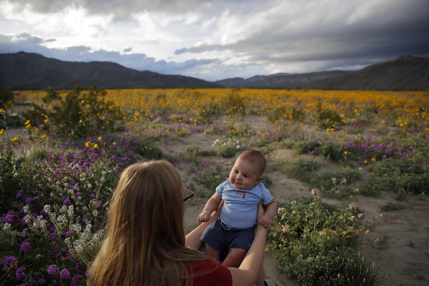 Less than a week before the start of spring 2019, Rene Garcia and her 3-month-old son, Brandon, dawdle in the Anza-Borrego.