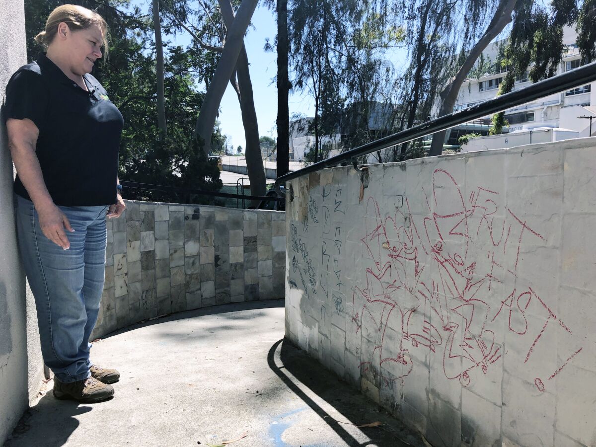 Susan Nowicke, founder and executive director of EcoVivarium reptile museum in Escondido, looks at graffiti