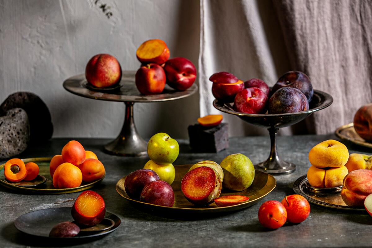 A selection of stone fruit on stands and a tabletop: plums, pluots, nectarines, apricots, peaches