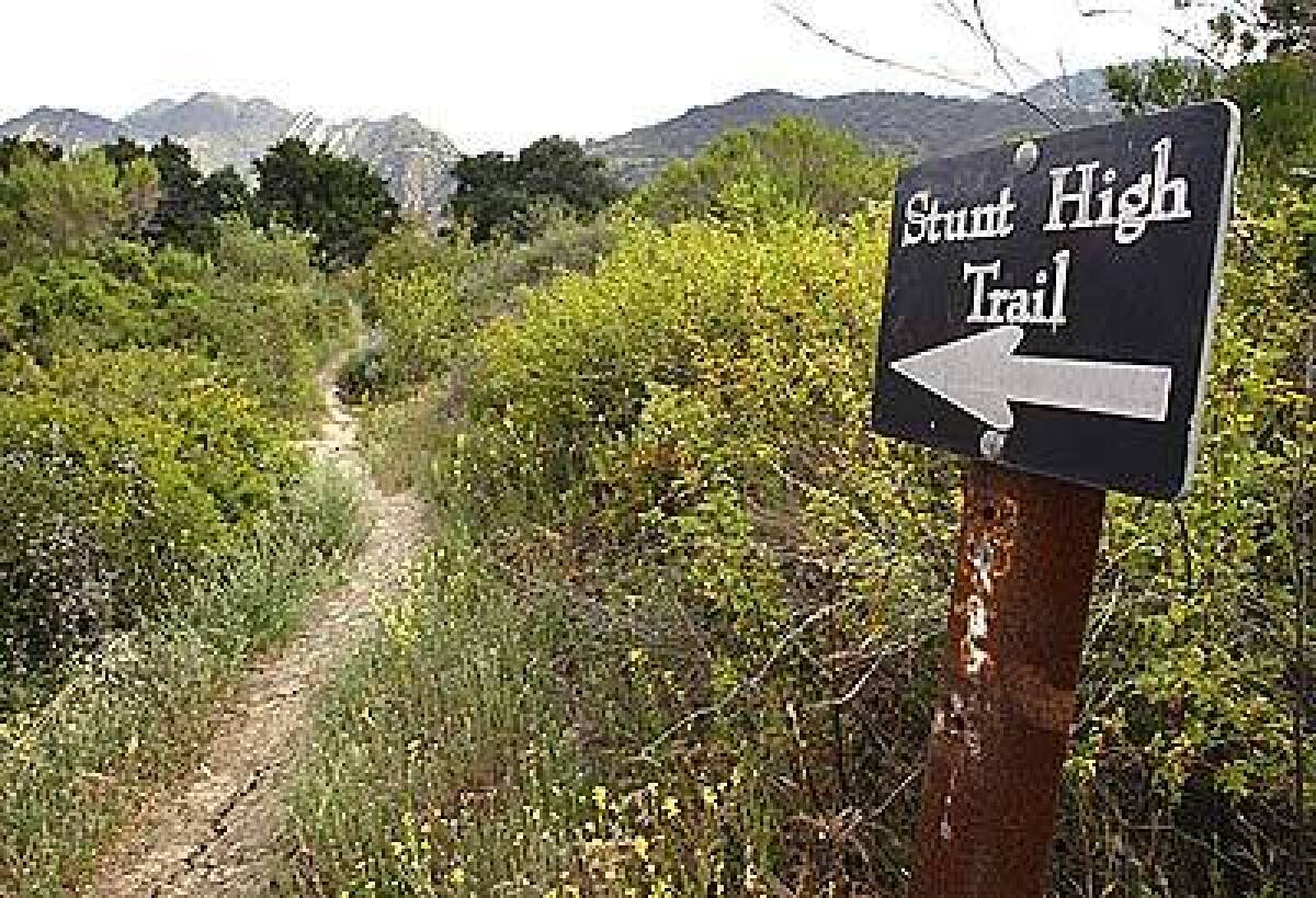 Stunt High Trail in the Santa Monica Mountains is full flora year-round.