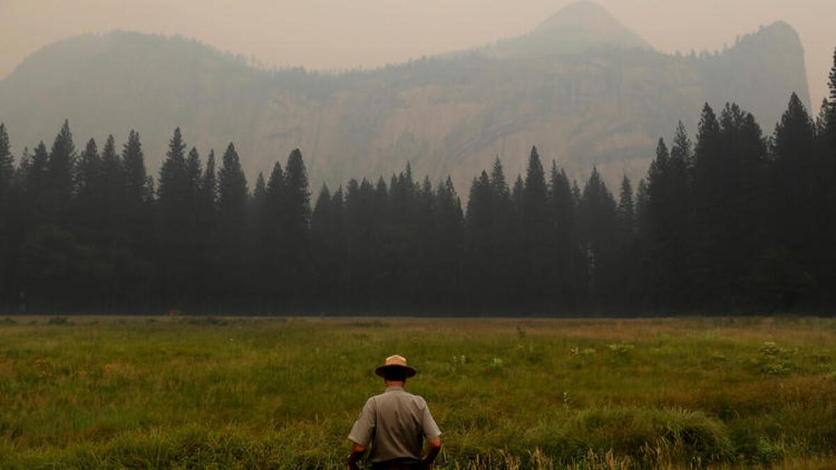 Scott Gediman, public affairs officer at Yosemite National Park, walks across Stoneman Meadow in the Yosemite Valley.