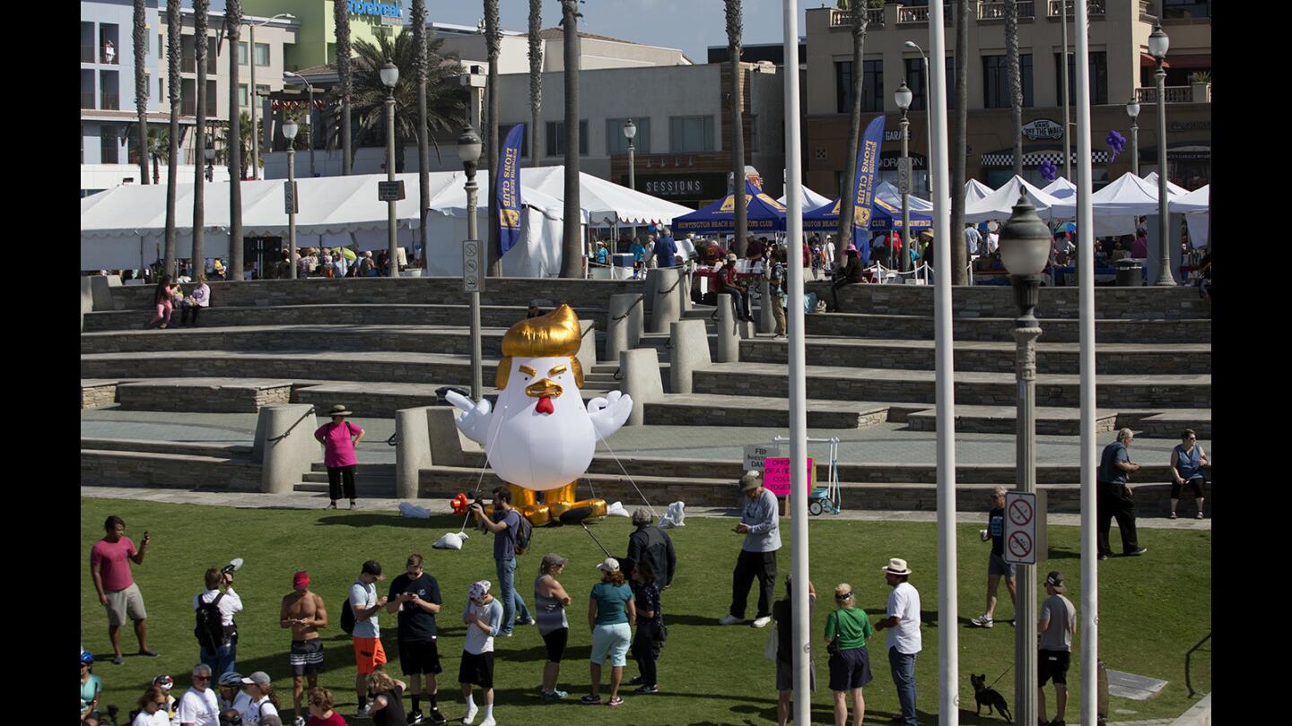 Photo Gallery: Chicken Don visits Huntington Beach