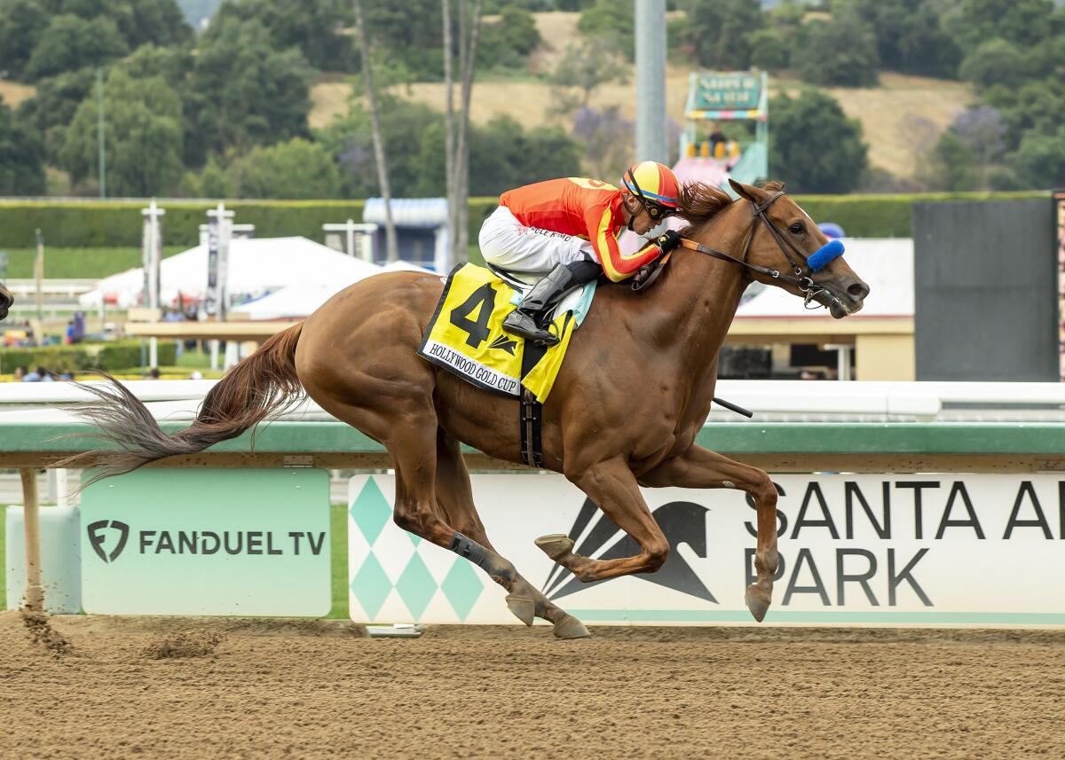 Horse racing still grappling with spike in thoroughbred deaths Los