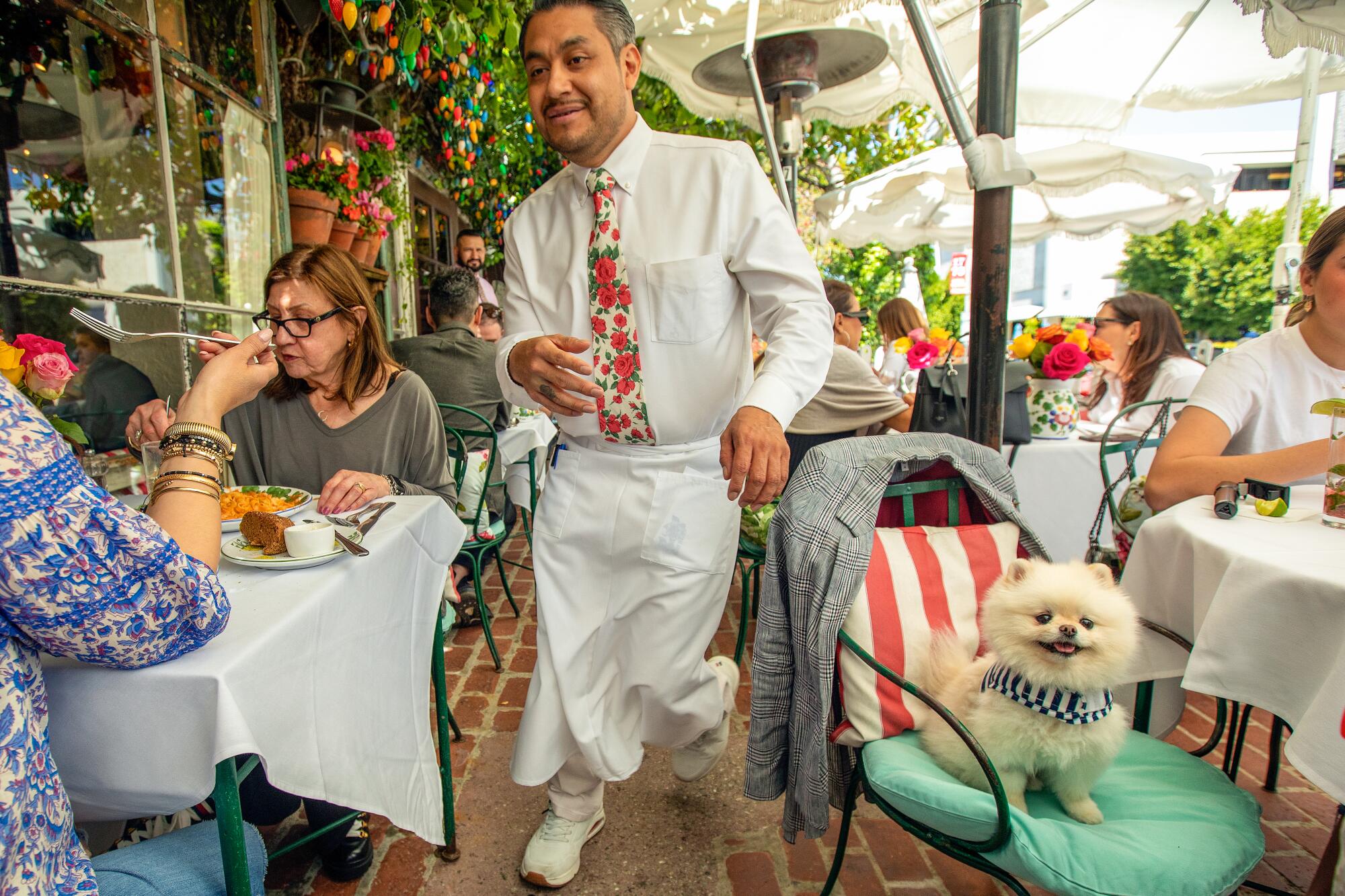 A waiter walking in between tables on a busy patio, with a Pomeranian sitting at the table on the right.