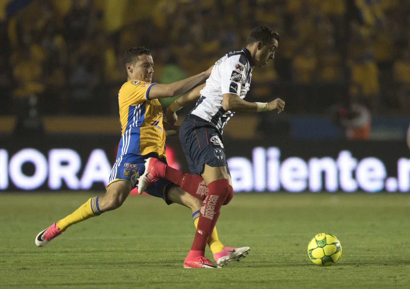 TIGRES - RAYADOS