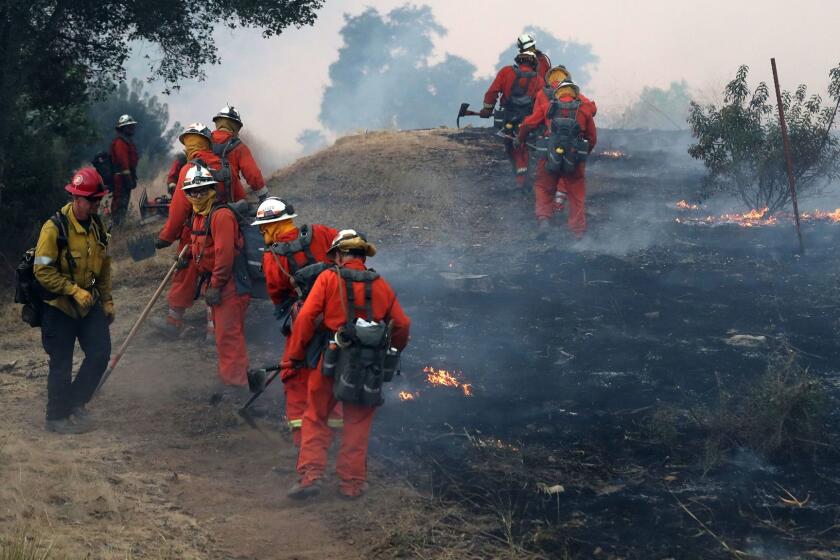 Mandatory Credit: Photo by MIKE NELSON/EPA-EFE/REX/Shutterstock (9264536m) Inmate firefighters are given instructions as they head into a fire in an avocado orchard at the Ojai Vista Farm threatened by the 'Thomas Fire' near Ojai, California, USA, 07 December 2017. The fire has already burned more than 96,000 acres, destroyed over 150 structures and has forced more than 27,000 people to evacuate as one of the strongest Santa Ana winds forecast of the season is ongoing and expected to last several days Thomas fire burns in Ventura County, California, Ojai, USA - 07 Dec 2017 ** Usable by LA, CT and MoD ONLY **