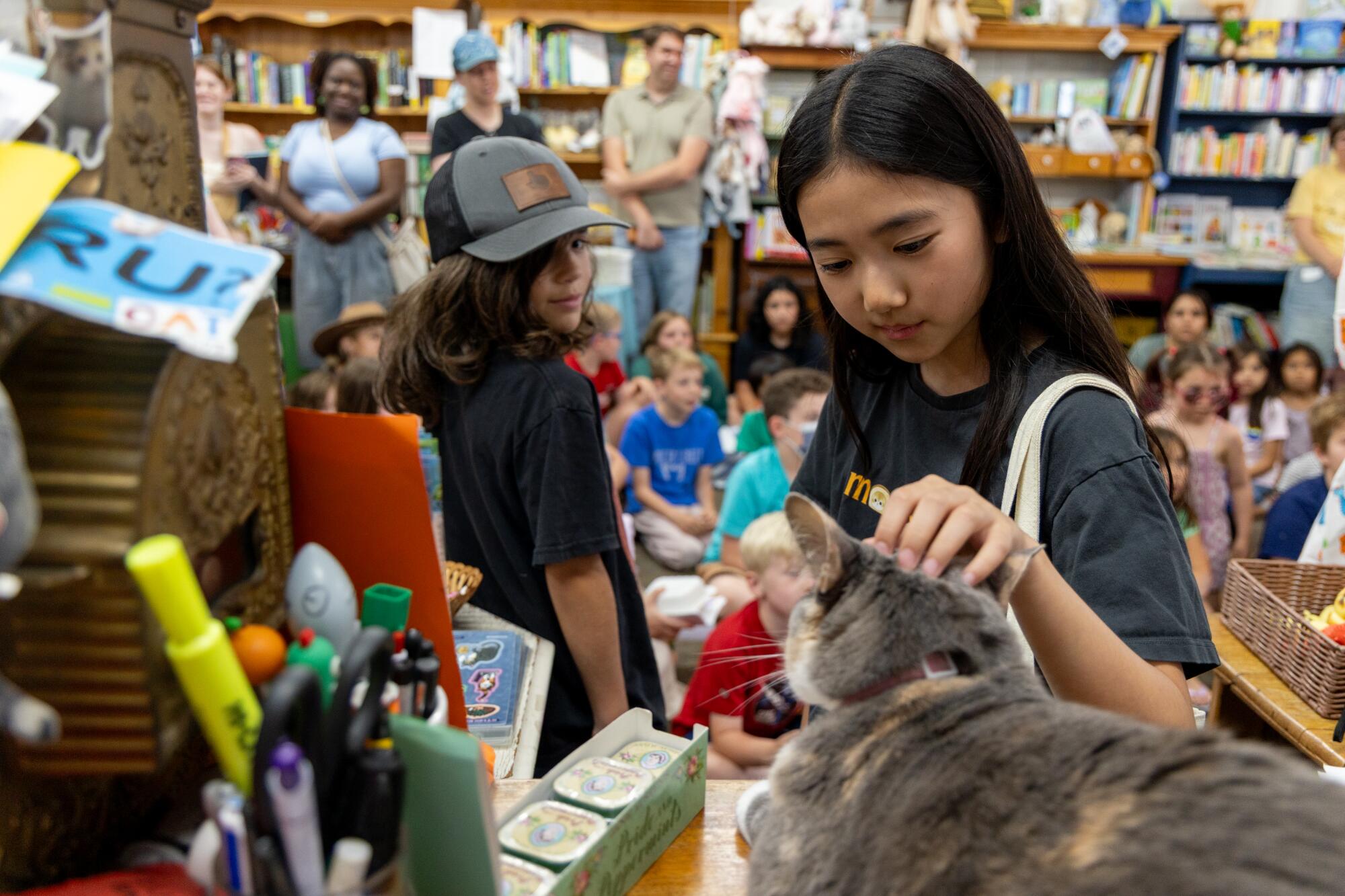 Chloe Oh, 11, pets pippi the cat, sitting at the counter