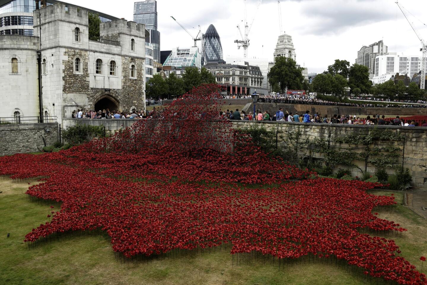 Blood-red ceramic poppies are part of a massive art installation to mark the hundred years since the start of World War I. Artist Paul Cummins' designed the poppies used in "Blood Swept Lands and Seas of Red" unveiled at the Tower of London on Aug. 5.