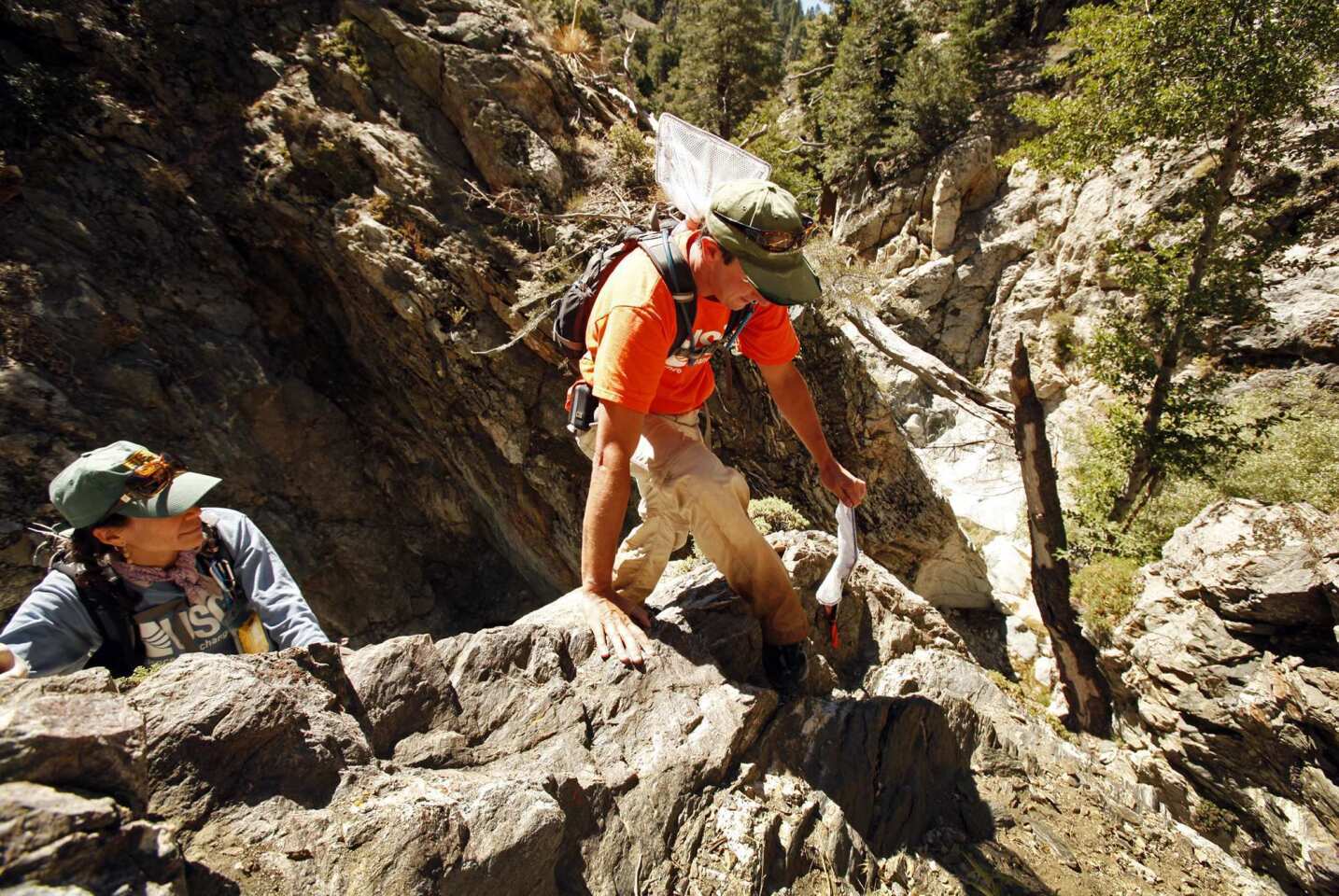 Elizabeth Gallegos, left, and colleague Adam Backlin hike rugged San Gabriel Mountains terrain to reach the endangered mountain yellow-legged frogs' habitat.