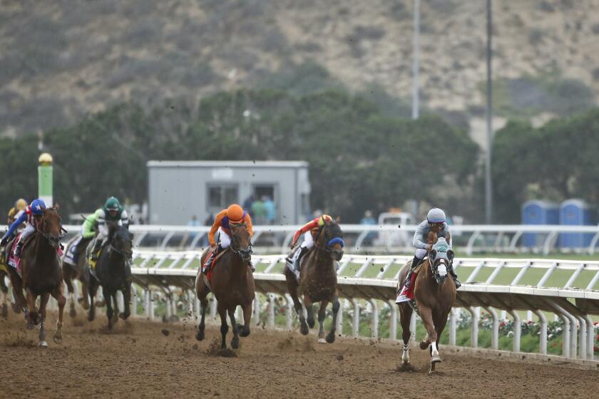 California Chrome flies down the closing stretch leaving the competition in his wake during the running of the Pacific Classic at Del Mar Thoroughbred Club Saturday, Aug. 20, 2016, in Del Mar, Calif. (AP Photo/Lenny Ignelzi)