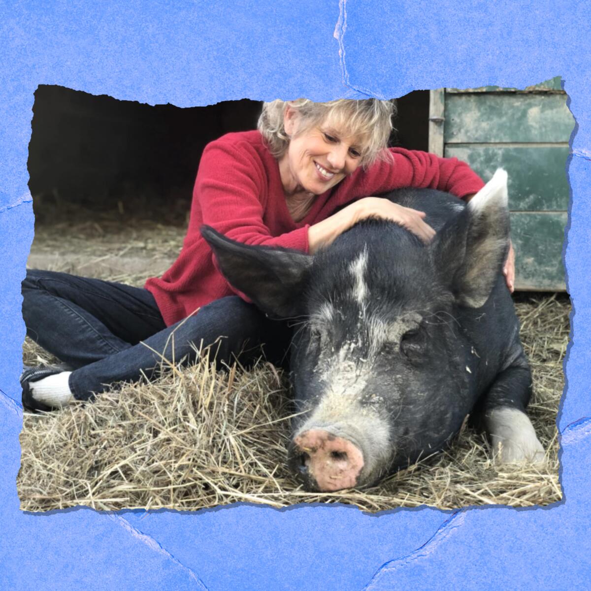 A smiling woman sits in straw, her arms over a large sow. 