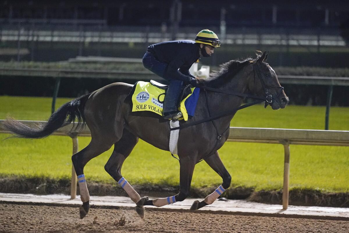 Kentucky Derby entry Sole Volante runs during a workout at Churchill Downs on Friday.