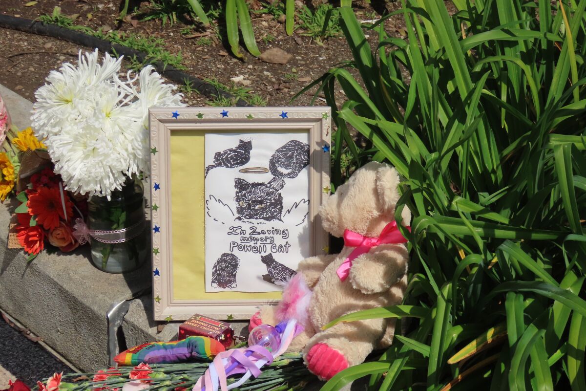 A picture frame with writing "To loving memory Powell Cat" and a teddy bear and flowers lay at a memorial.