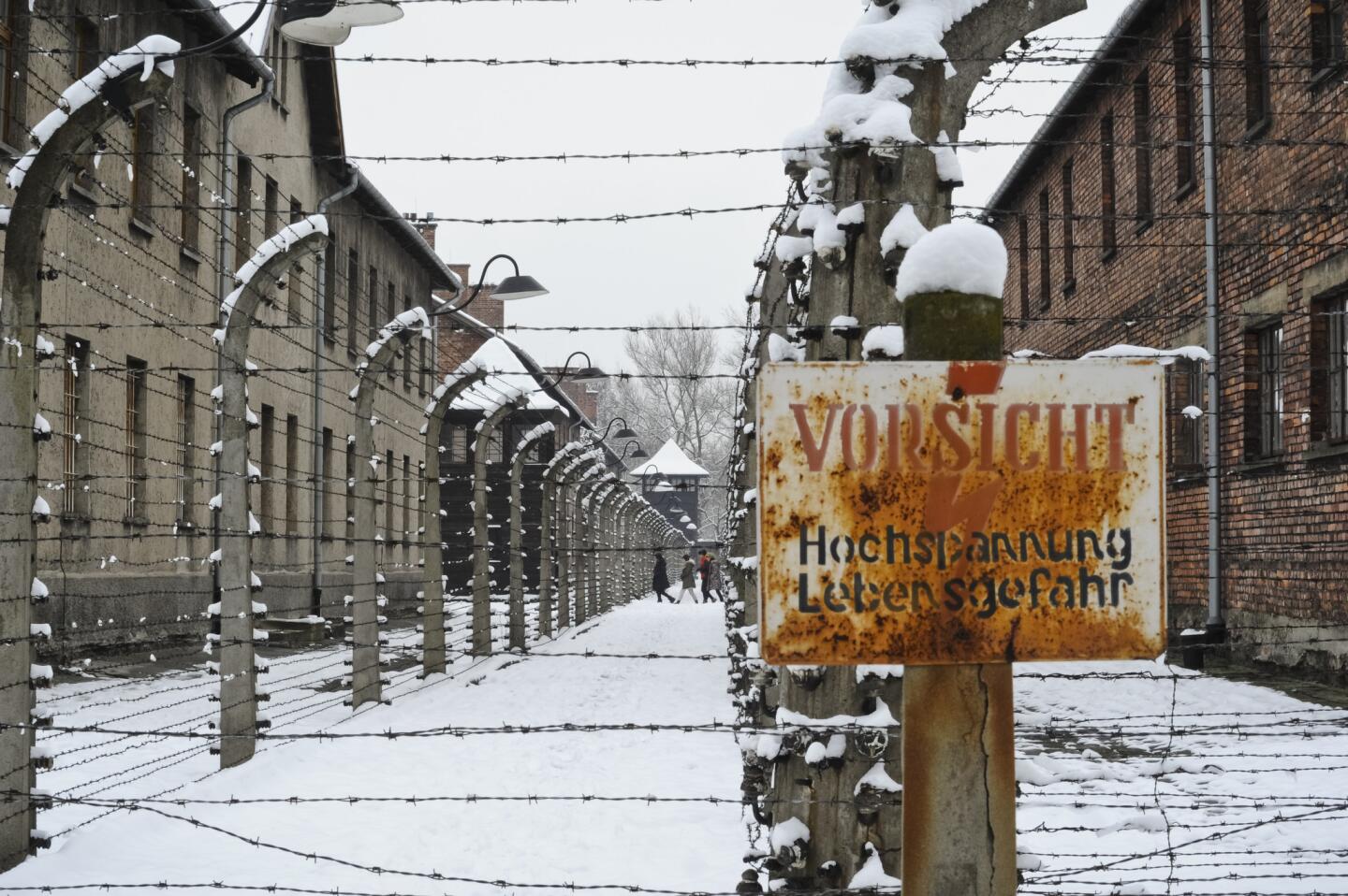 Auschwitz, 70 years after liberation