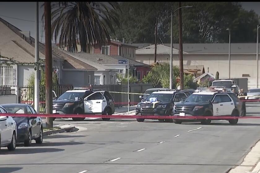 Los Angeles police officers shot and killed a man Saturday after he confronted them with a rifle that was later determined to be an airsoft gun, authorities said.
