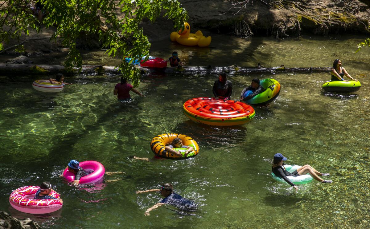 People with colorful innertubes play in a river surrounded by trees