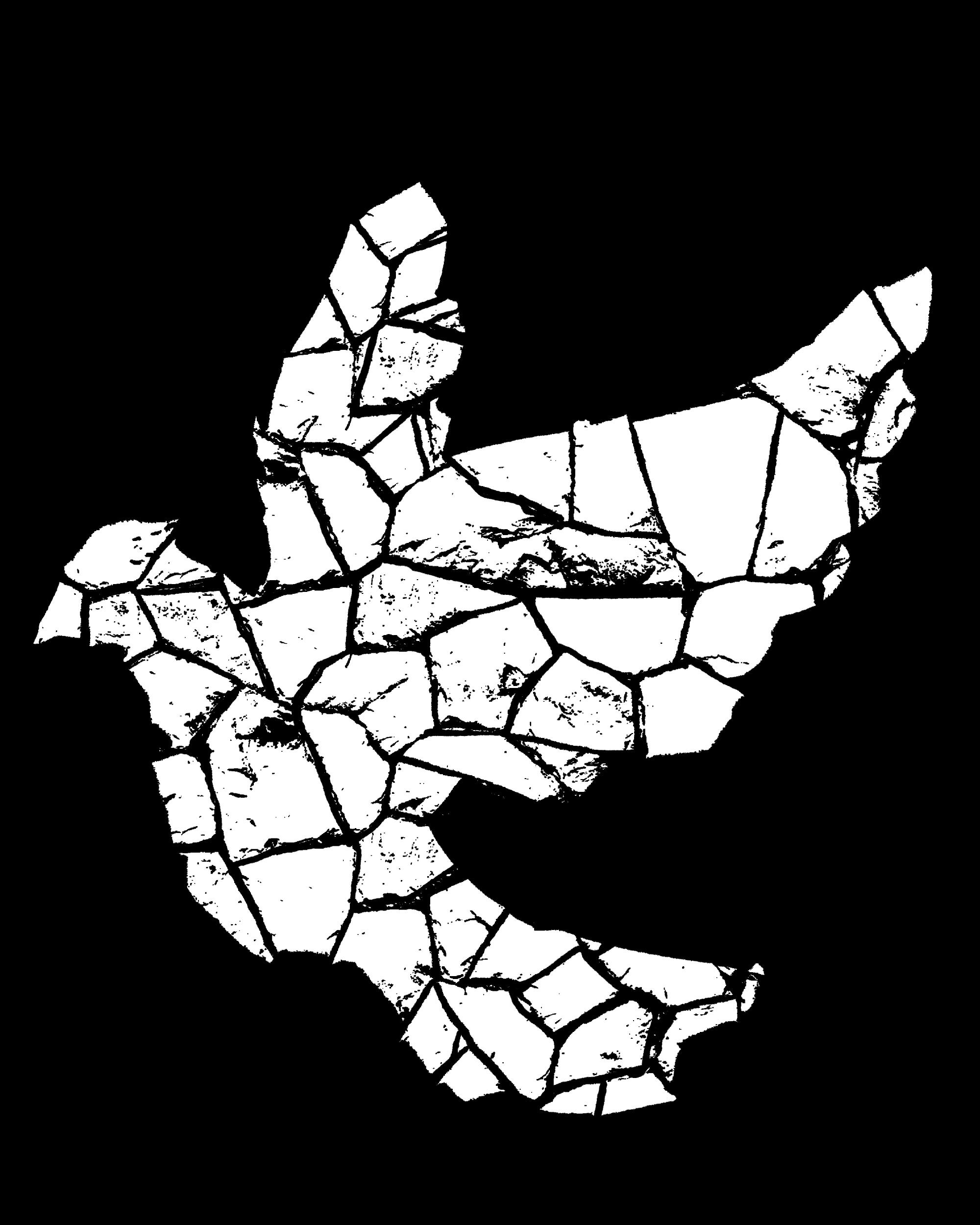 illustration of a white dove on black background with rubble texture