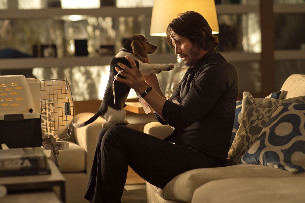 Looks like a cute movie about a guy and his dog: Keanu Reeves will participate in the Lionsgate Live stream of "John Wick" on May 8. The R-rated hit is the only one of the four movies in the program to require age verification from viewers.