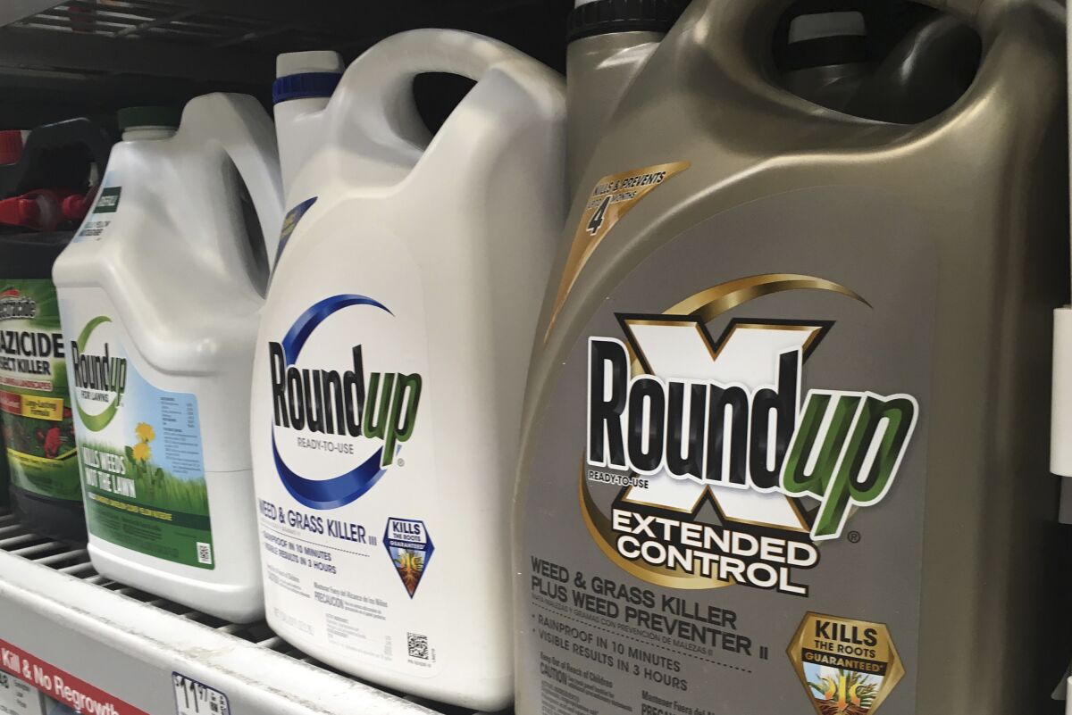 FILE - Containers of Roundup are displayed on a store shelf in San Francisco, on Feb. 24, 2019. A federal appeals court has rejected a Trump administration finding that glyphosate, the active ingredient in the weed killer Roundup, does not pose a serious health risk and is "not likely" to cause cancer in humans. (AP Photo/Haven Daley, File)