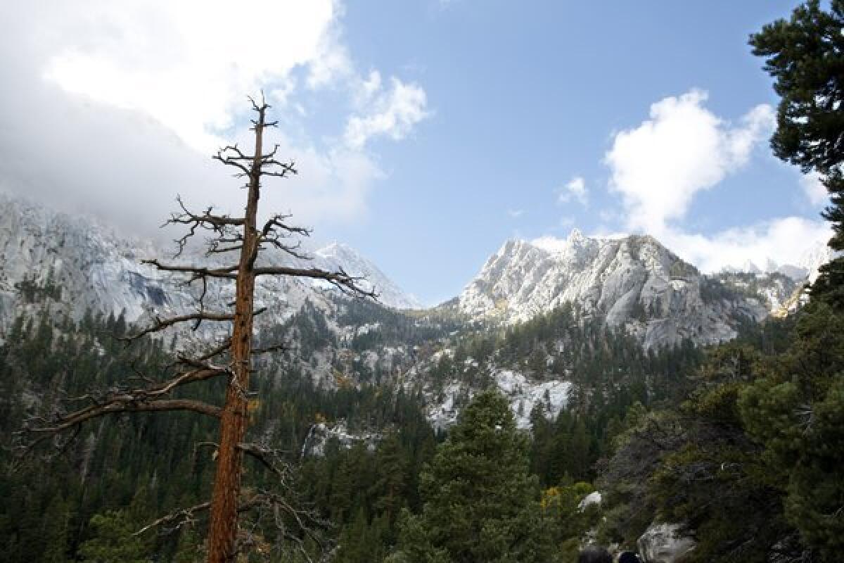 Park rangers recovered the body of a Torrance man who fell to his death after reaching the summit of Mt. Whitney.