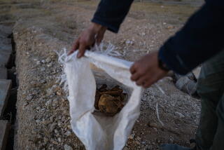 A man's hands hold open a bag containing bones.