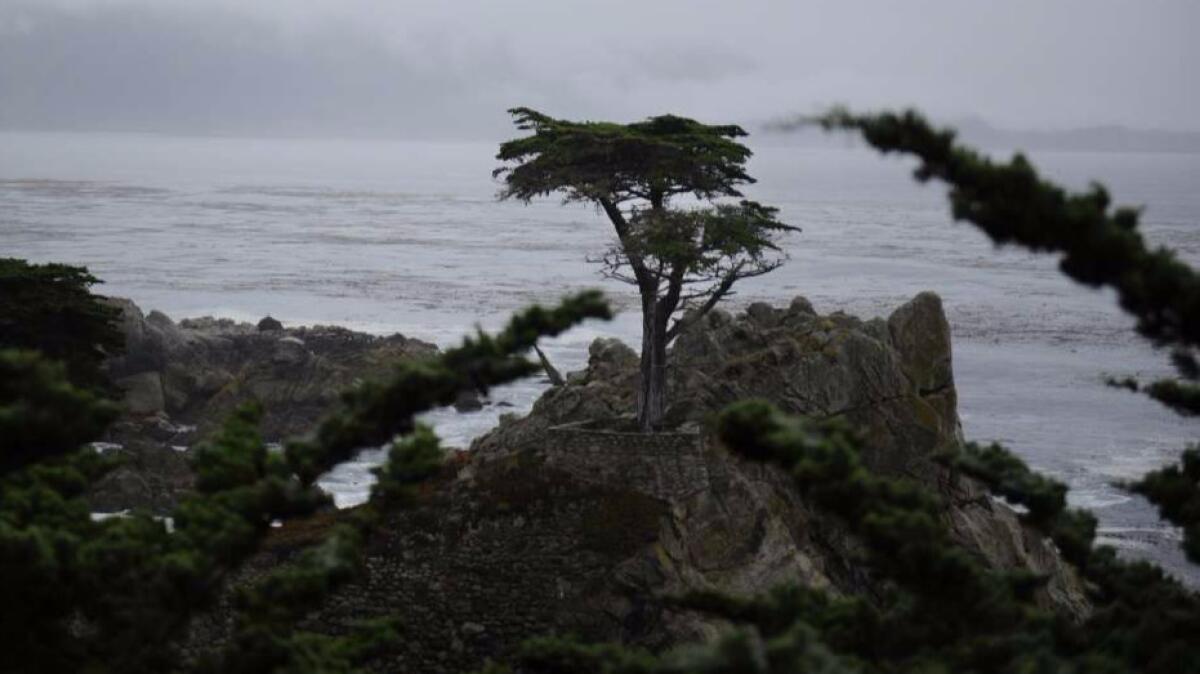 The California Coastal Commission is in charge of protecting 1,100 miles of shoreline, where land meets the Pacific.