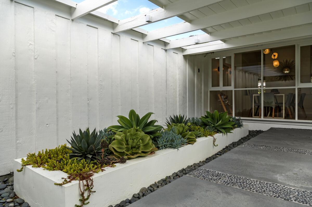 The couple transformed a water feature in the front breezeway into a drought-tolerant succulent planter.
