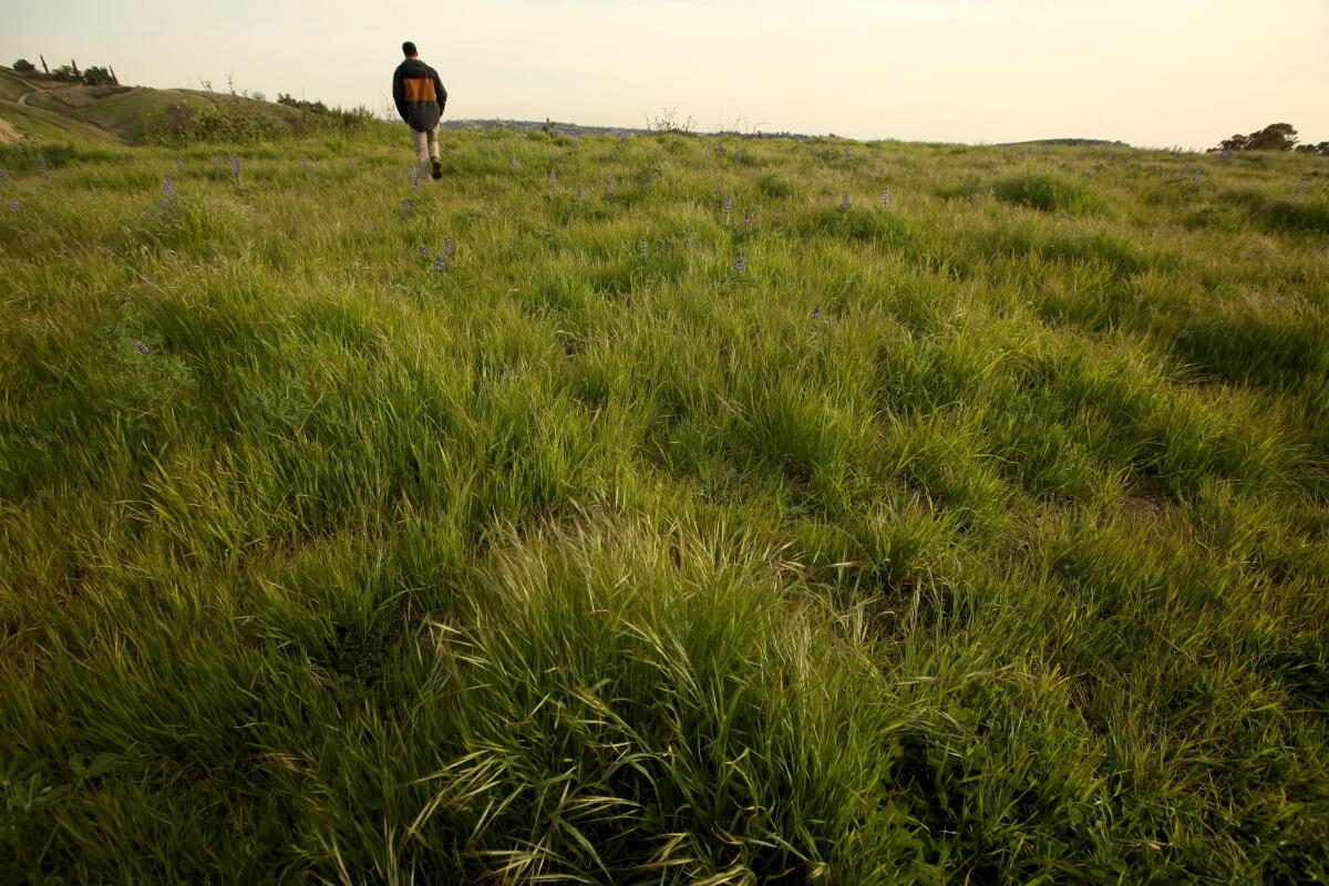 Tecpatl Kuauhtzin, project coordinator with the Anahuacalmecac Int'l University Prep., walks on portion of 12-acre property.