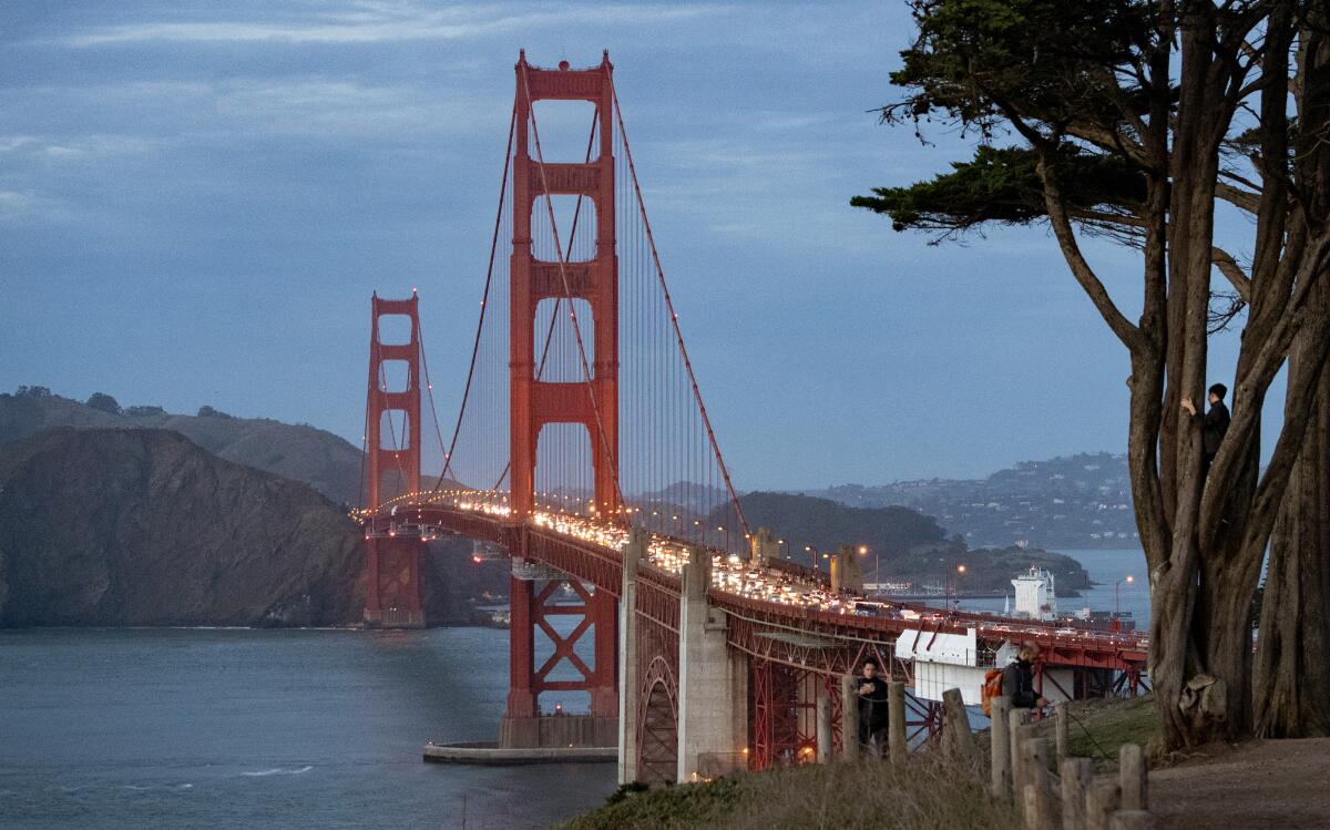 A boy climbs a tree while looking at the Golden Gate Bridge