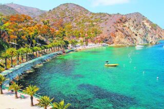 The palm-lined walkway to Descanso Beach as seen from the Casino on Catalina Island is postcard-pretty. Doug Hansen photo