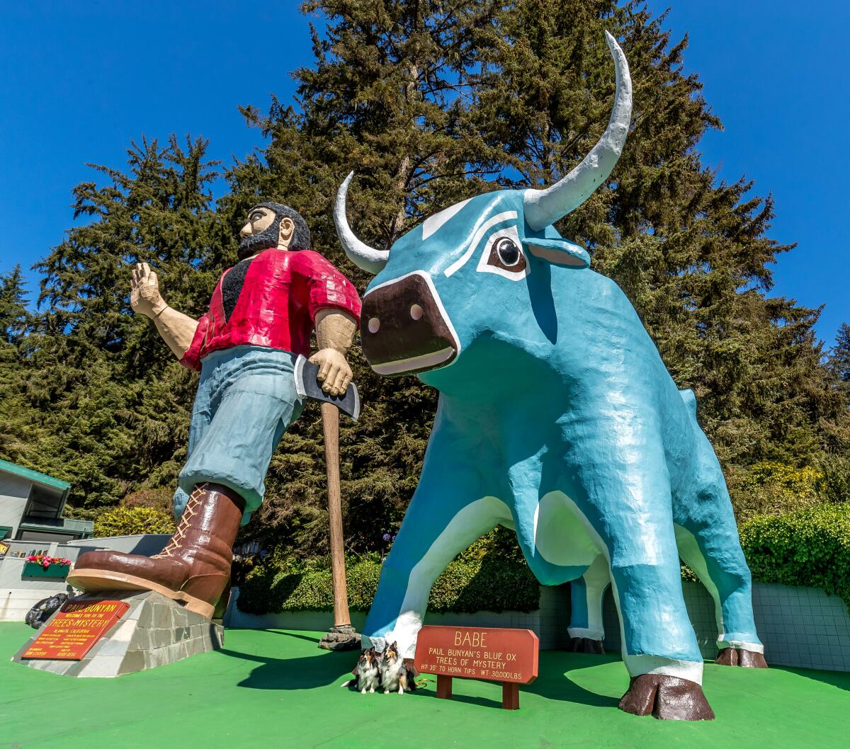 Two dogs sit in front of large statues of Paul Bunyan and Babe the Blue Ox.