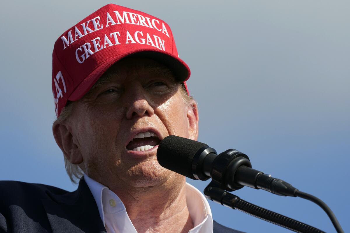 Donald Trump wears a red "Make America Great Again" hat and speaks into a microphone. 