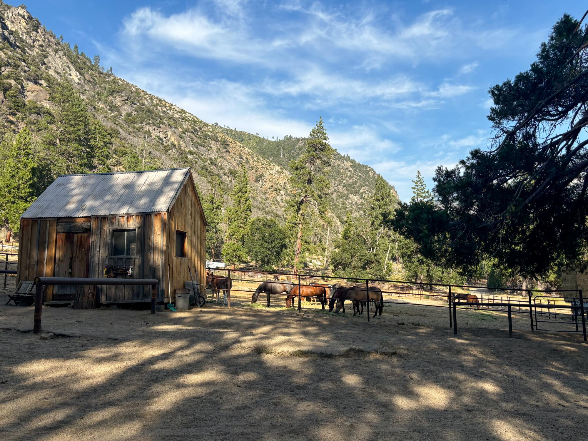 Horses graze in a pen surrounded by mountains and a beautiful blue sky