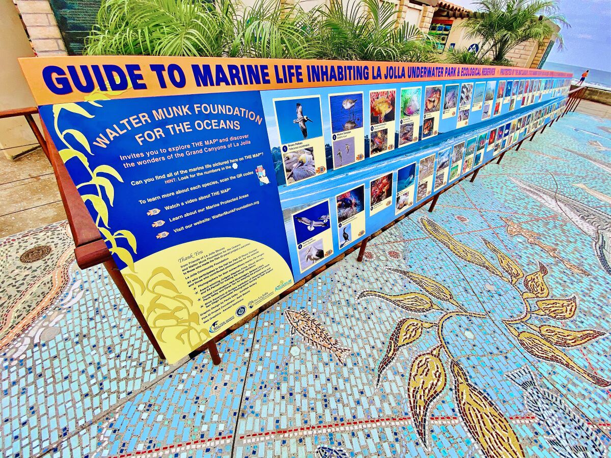 A sign next to The Map serves as a guide to marine life inhabiting La Jolla's underwater park and ecological reserves.