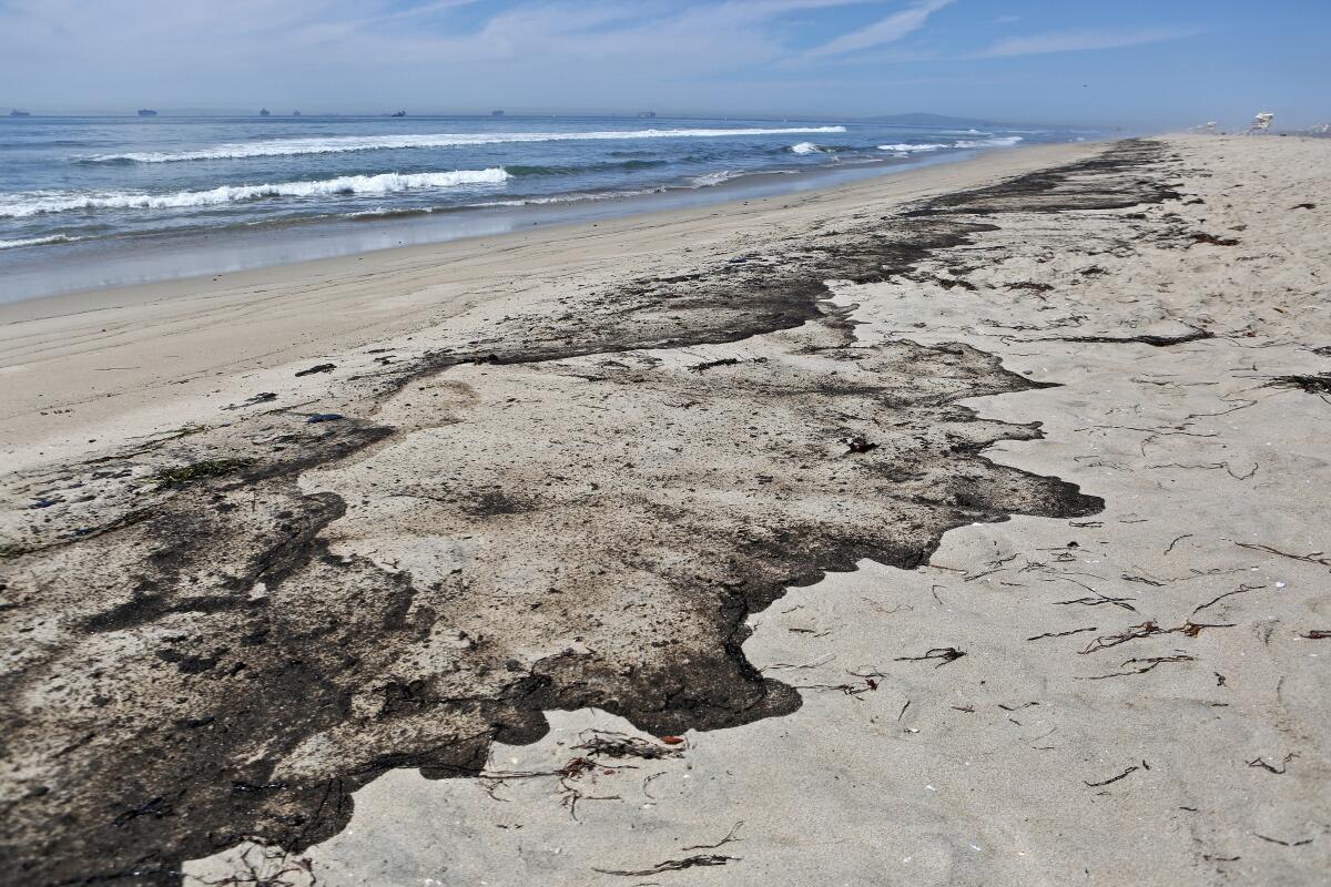 Crude oil covers the sand as low tide recedes at Huntington State Beach on Sunday. 