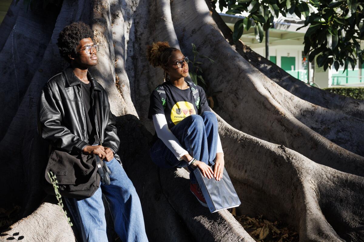 Two students lean against the roots of a large ficus tree.