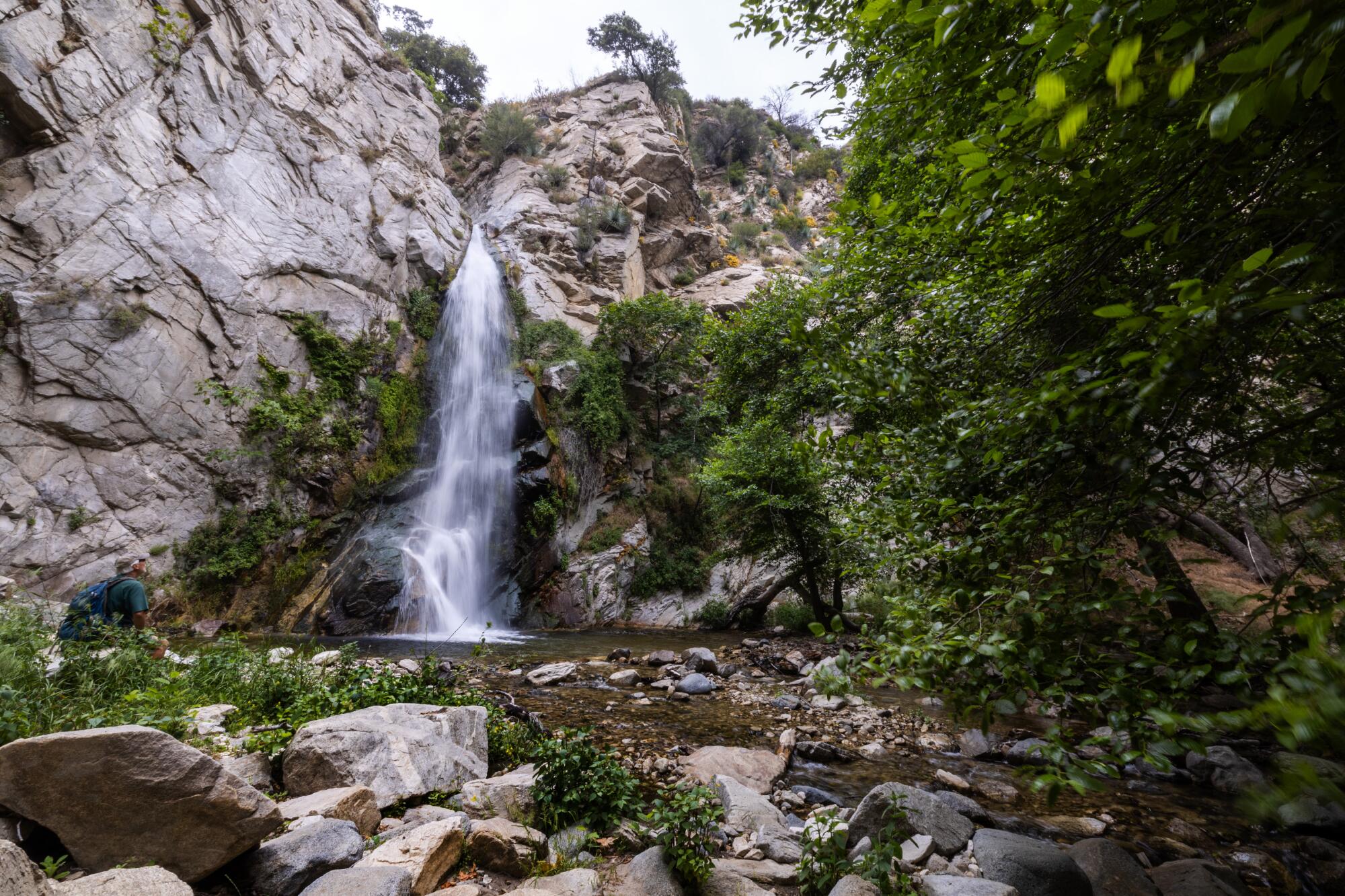 A waterfall drops into a pool from a rocky cliff. The area around Sturtevant Falls has been closed since 2020.