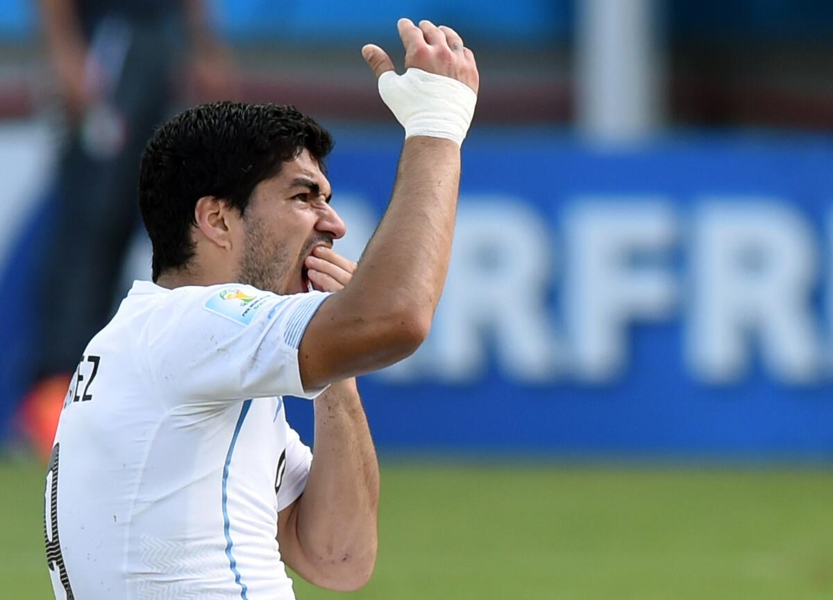 Uruguayan striker Luis Suarez puts his hand to his mouth after biting Italian defender Giorgio Chiellini's shoulder during a World Cup match in June.