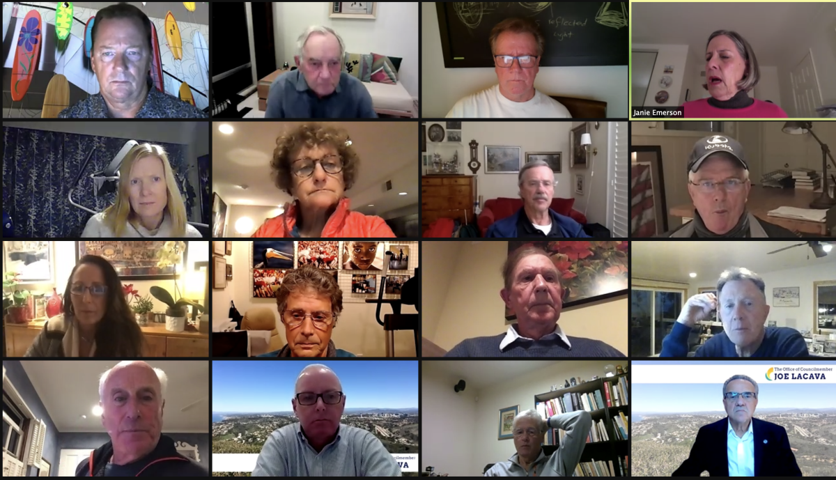 Participants in the La Jolla Shores Association's Feb. 10 online meeting discuss goals for 2021 and more.