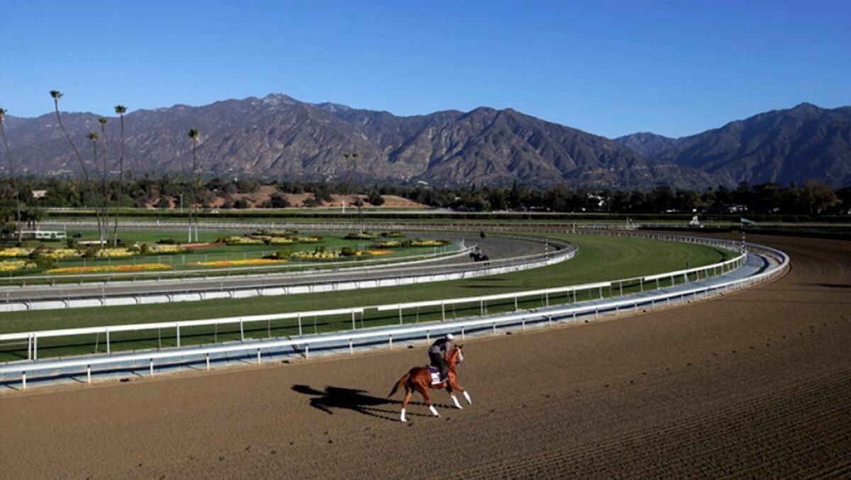 The San Gabriel Mountains loom in the background as a rider takes a horse for a workout on the track at Santa Anita Park in 2013.
