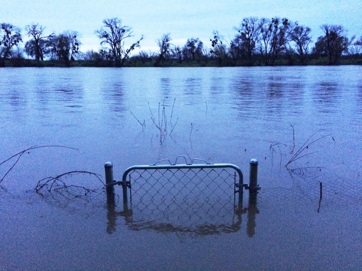 A nearly submerged gate shown Saturday in the backyard of a home on the fast-moving Sacramento River in Verona, about 20 miles north of Sacramento. The homeowner reported that on Sunday, the gate was covered.