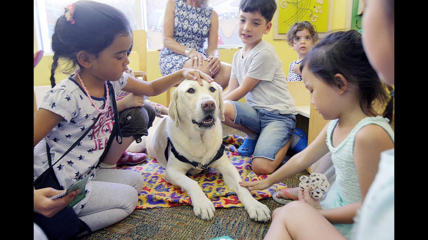 Photo Gallery: Children read to therapy dog at Montrose Library