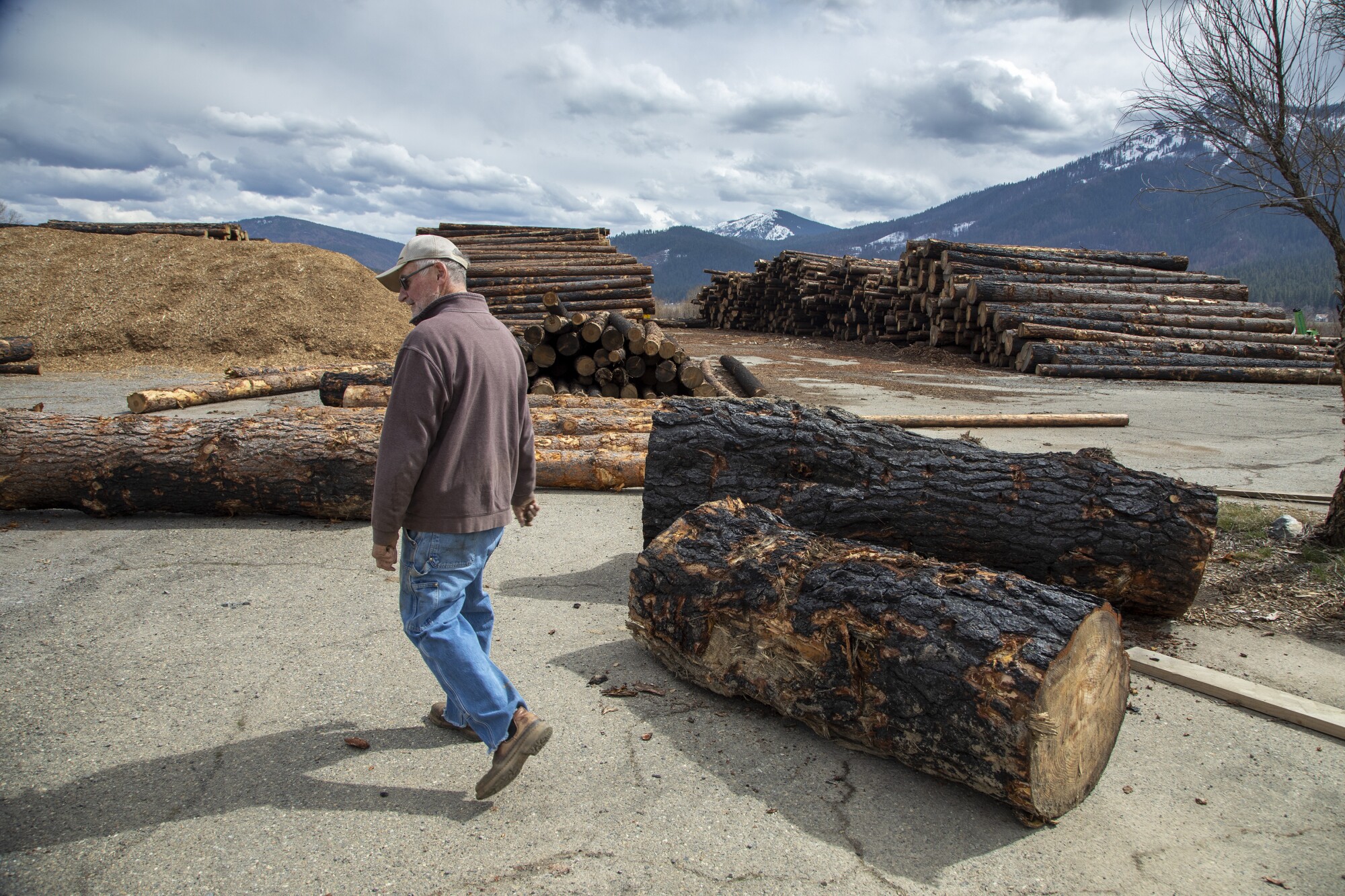 Greenville was destroyed by wildfire. Can it be rebuilt? 7 Randy Pew walks among logs at a sawmill.