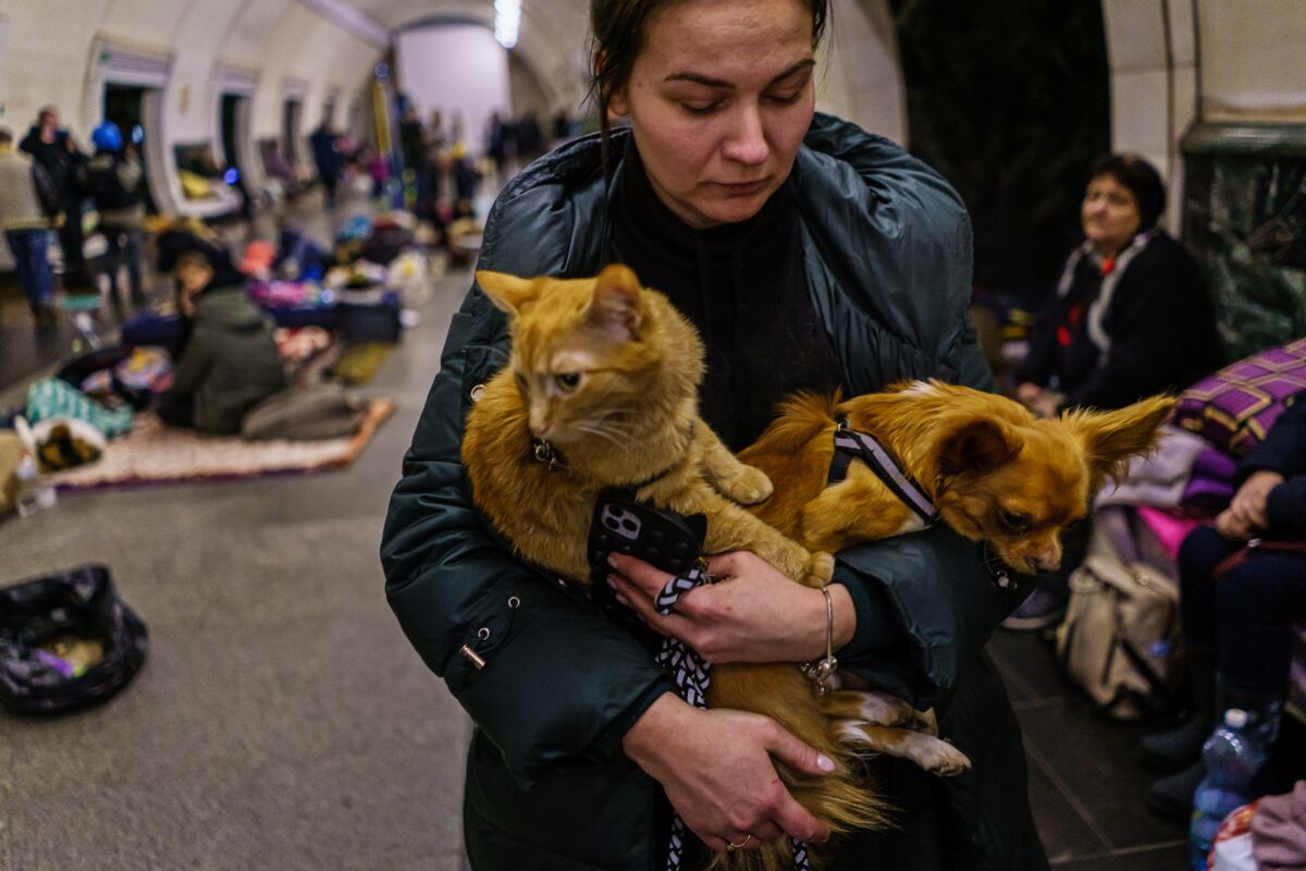 A woman and and her cat and dog take shelter underground in a subway station with others