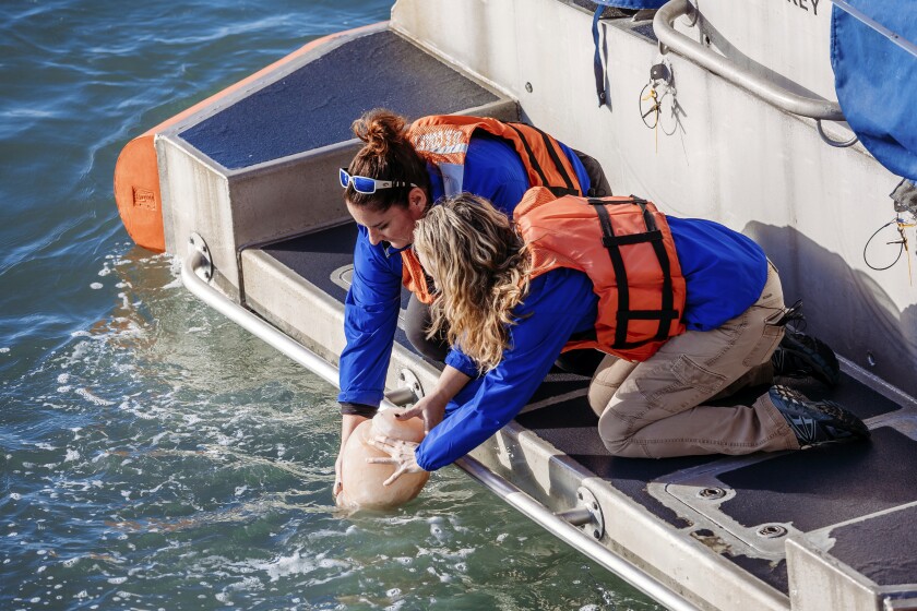 Clearwater Marine Aquarium vice president of zoological care Kelly Martin, left, and aquarium veterinarian Dr. Shelly Marquardt, release the ashes of Winter the Dolphin into the Gulf of Mexico from the back of a U.S. Coast Guard response boat, Thursday, Jan. 13, 2022, of the coast of Clearwater, Fla. Winter, a prosthetic-tailed dolphin that starred in the “Dolphin Tale” movies, died on Nov. 11, 2021, at age 16 of an inoperable intestinal problem. (Clearwater Marine Aquarium via AP)