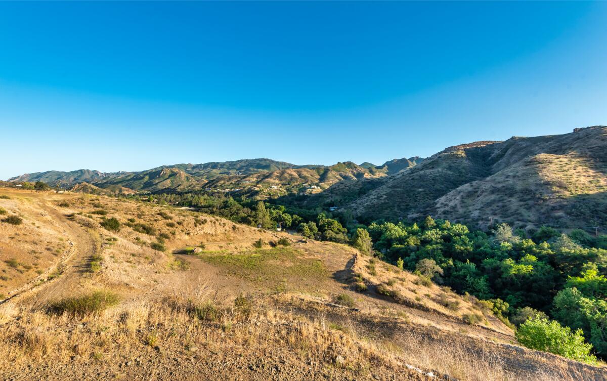 A view of a dirt road through rounded hills with scrub and low trees.