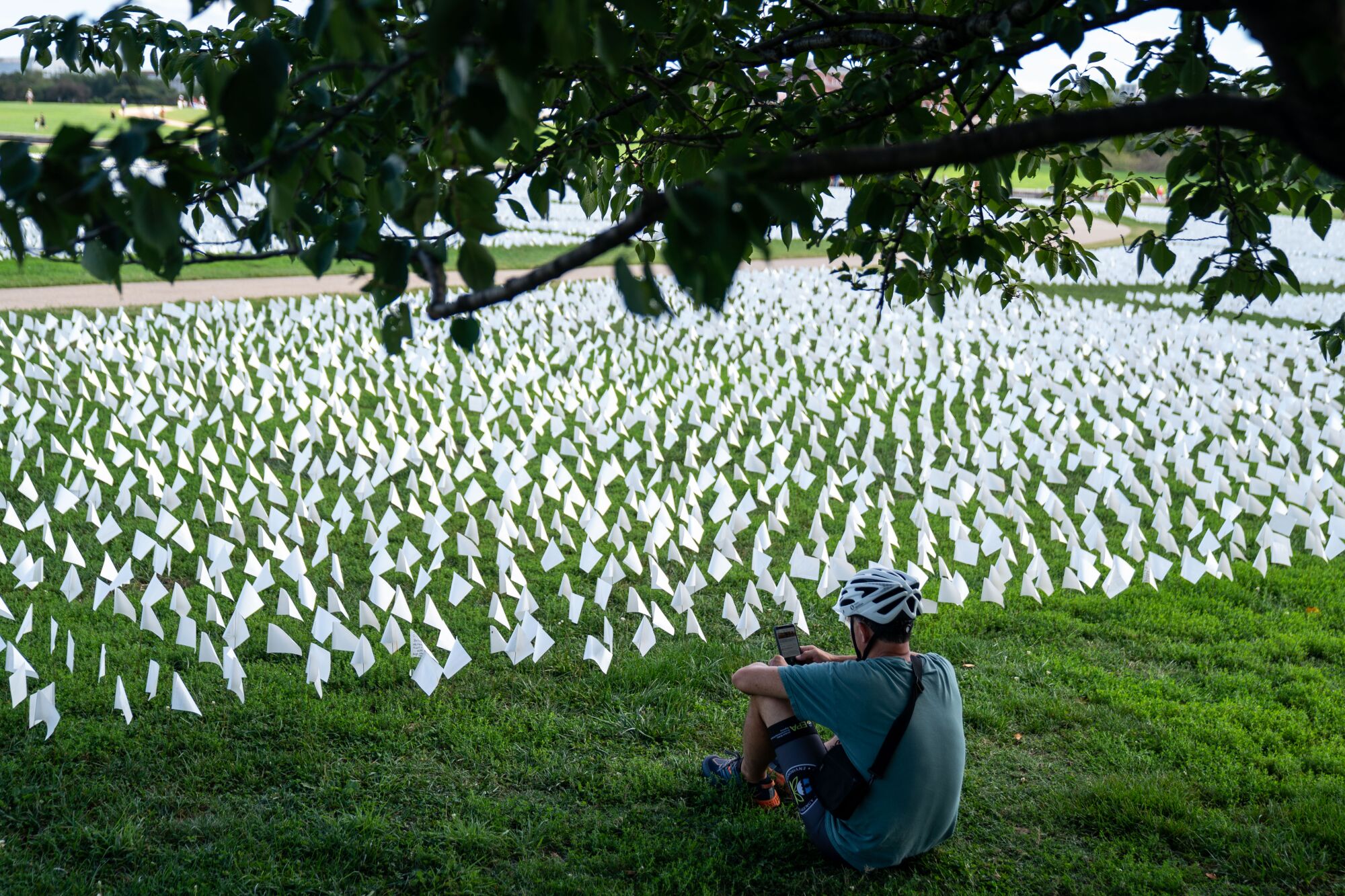 A man in a bicycle helmet sits on the grass next to rows of white flags