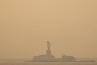 La Estatua de la Libertad en medio de un cielo brumoso, el miércoles 7 de junio de 2023, desde Staten Island, Nueva York. (AP Foto/Yuki Iwamura)