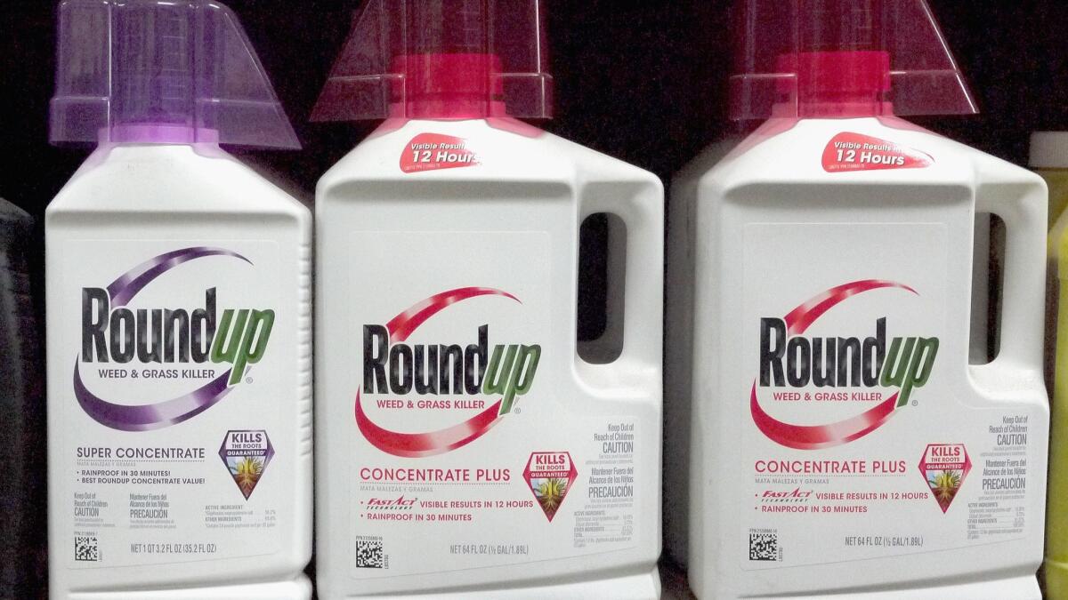 Despite a $2-billion court verdict, Monsanto's Roundup weed killer is still on the shelves.