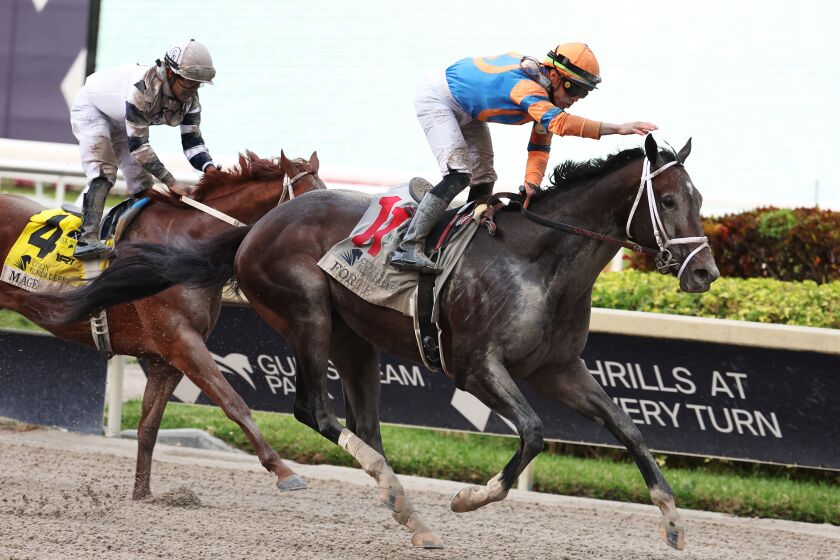 HALLANDALE, FLORIDA - APRIL 01: Forte #11, ridden by Irad Ortiz Jr. wins the Florida Derby at Gulfstream Park on April 01, 2023 in Hallandale, Florida. (Photo by Al Bello/Getty Images)